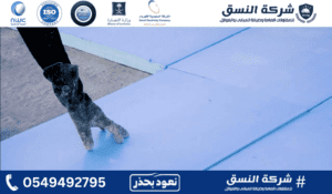 أخطاء عزل الفوم أثناء التنفيذ